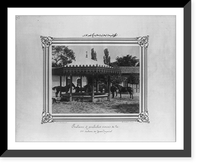 Historic Framed Print, [The foals and young mares in the second section of the Imperial Stud Farm].Constantinople, Abdullah Fr&egrave;res.,  17-7/8" x 21-7/8"