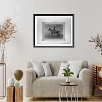 Historic Framed Print, [The Arabian mare named Gonca].Constantinople, Abdullah Fr&egrave;res.,  17-7/8" x 21-7/8"