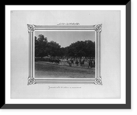 Historic Framed Print, [The mares of the first section running in the pasture].Constantinople, Abdullah Fr&egrave;res.,  17-7/8" x 21-7/8"