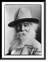 Walt Whitman, 1819-1892 - 13, Historic Reproduction