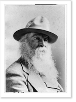 Historic Framed Print, Walt Whitman, 1819-1892 - 21,  17-7/8" x 21-7/8"