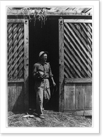 Portrait of America. No. 36. Rural electrification in the U.S. - 3 Classic, Antique Poster
