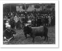 Historic Framed Print, [Army and Navy baseball game, Rome, Italy: 2 sailors with mascot, a goat, in front of crowd of spectators],  17-7/8" x 21-7/8"