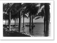 The Shatt al-Arab from Abadan Island, showing the date palms and, in the distance, the Iraq bank of the river, Iran, Vintage Poster
