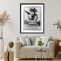 The mail dilly. For the accomodation of the public, Historic Print