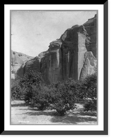 Historic Framed Print, Canon Orchards, Arizona,  17-7/8" x 21-7/8"
