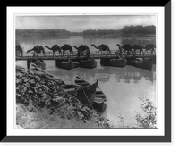 Historic Framed Print, Camel caravan crossing the Euphrates River on a pontoon bridge near Kufa, Iraq,  17-7/8" x 21-7/8"