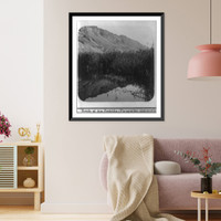 Reeds at Ain Feshkha (Phragmites communis Trin), Antique Poster