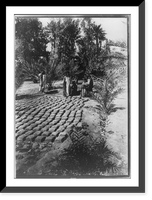 Mud blocks, used in building houses, drying in the sun in the garden at Al-Gowf, Arabia, Vintage Print