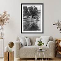 Mud blocks, used in building houses, drying in the sun in the garden at Al-Gowf, Arabia, Vintage Print
