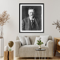 Historic Framed Print, Theodore Roosevelt, 1858-1919,  17-7/8" x 21-7/8"