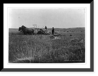 Harvesting on the hay? farm, Hurton, South Dakota, 1898, Vintage Wall Art