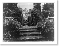 Vintage Landscape - New York City - Planting Fields of William
