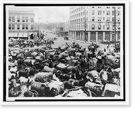 Bird's-eye view of bales of cotton on horse-drawn wagons at market in square, Montgomery, Alabama, Vintage Wall Art