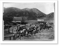 Corrals, Eaton's Ranch, Wolf, Wyoming, Historic Print