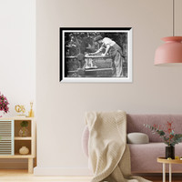 Historic Framed Print, Central Park - feeding hippo,  17-7/8" x 21-7/8"