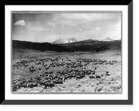 Nine Quarter Circle Ranch, Eldridge, Montana - 2, Vintage Poster