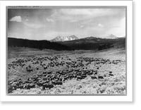 Nine Quarter Circle Ranch, Eldridge, Montana - 2, Vintage Poster