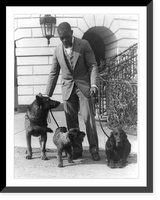 Historic Framed Print, [Robert R. Watson(?) or Robinson(?), kennel master at the White House, with pets of Herbert Hoover, King Tut, a Belgian police dog; Whoopie, a schnauzer; and Englehurst Gillette, a Gordon setter],  17-7/8" x 21-7/8"