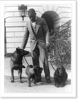 Historic Framed Print, [Robert R. Watson(?) or Robinson(?), kennel master at the White House, with pets of Herbert Hoover, King Tut, a Belgian police dog; Whoopie, a schnauzer; and Englehurst Gillette, a Gordon setter],  17-7/8" x 21-7/8"