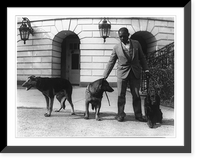 Historic Framed Print, [Robert R. Robinson, kennel master at the White House for Herbert Hoover's dogs, Buckeye, a German police dog; King Tut, a Belgian police dog; and Englehurst Gillette, a Gordon setter],  17-7/8" x 21-7/8"