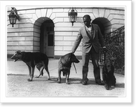 Historic Framed Print, [Robert R. Robinson, kennel master at the White House for Herbert Hoover's dogs, Buckeye, a German police dog; King Tut, a Belgian police dog; and Englehurst Gillette, a Gordon setter],  17-7/8" x 21-7/8"