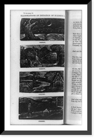 Four wood engravings illustrating Ambrose Phillips' Imitation of eclogue, Antique Wall Art
