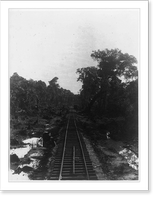 Railroad near Bf.(?) (probably Bluefields) looking toward Greytown Classic, Historic Reproduction