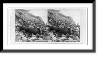 Historic Framed Print, Sea face of Fort Sumpter [sic], showing broken guns, shot, shell, &c.,  17-7/8" x 21-7/8"