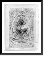 Chicora the original name of Carolina. Respectfully dedicated to the patriotic ladies of the Southern Confederated States of North American, Antique Print