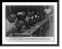 Colonial empire: A team of African microscopists in a southern district of Nigeria, who work under British guidance Classic, Vintage Print