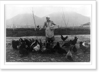 Albania: woman feeding chickens, Antique Poster