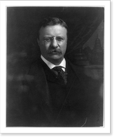 Historic Framed Print, [Theodore Roosevelt, half-length portrait, facing front],  17-7/8" x 21-7/8"