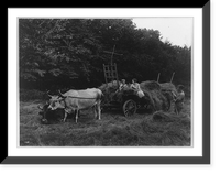 Haymaking to radio near Butler, N.J. Mother, here's the baseball score"", Antique Poster