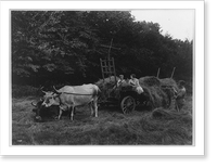 Haymaking to radio near Butler, N.J. Mother, here's the baseball score"", Antique Poster