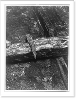 Antique Railway Print - Railroads & Depots - Detail of railroad track