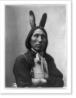 James Lone Elk, Dakota Indian, half-length portrait, facing left with arms folded; wearing bone breast plate and feathers in hair Classic, Antique Print
