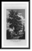 Johnson's willow (near Litchfield).drawn by J. Hewett for the Portfolio ; engraved by J. & H.S. Storer, Historic Print