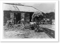 Historic Framed Print, Sugar cane mill, Barbados,  17-7/8" x 21-7/8"