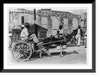 Historic Framed Print, A Barbados donkey cart,  17-7/8" x 21-7/8"