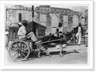 Historic Framed Print, A Barbados donkey cart,  17-7/8" x 21-7/8"