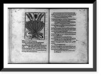 Plantain shown with snake and scorpion to indicate plant is antidote for their bites and stings; and surrounding text, Historic Reproduction