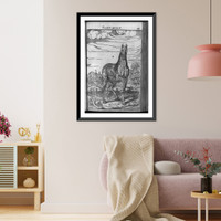 Horse, drawn to show muscle structure and anatomy, Vintage Poster