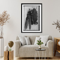 Microscopic view of blue fly and fly wing at right, Vintage Poster