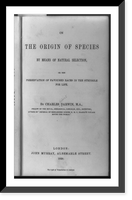 Historic Framed Print, [Title page of On the origin of species],  17-7/8" x 21-7/8"