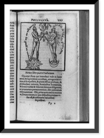 Historic Framed Print, [Symbolic picture in alchemical text showing crowned man standing on sun and crowned woman standing on moon joining flowers with descending dove, which represents marriage and the union of two substances],  17-7/8" x 21-7/8"