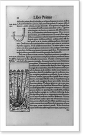 Method of raising sunken ship with five ropes and ships, diagram of curved pipe in water, and surrounding text Classic, Vintage Print