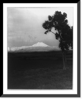 Ecuador. distant view of the snow-capped volcano Cotopaxi seen across the cattle-grazing Valle de Latacunga Classic, Vintage Wall Art