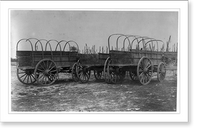Three wagons, probably used for army supplies in Civil War, Antique Poster