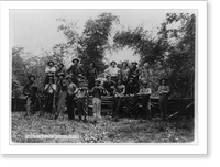 Group of seventeen American soldiers posed, 2 with violins, 1 with harp, Philippine Islands, Antique Poster